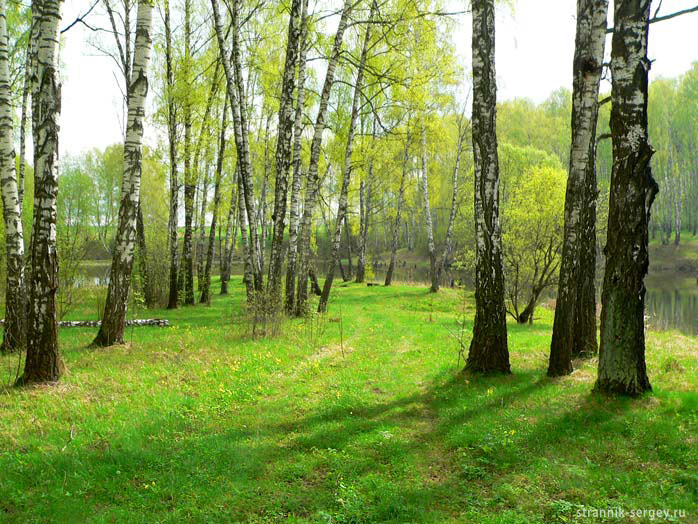 Пеший поход выходного дня: пл. 52 км - Долматово - пл. Гривно  13  мая 2007 г.